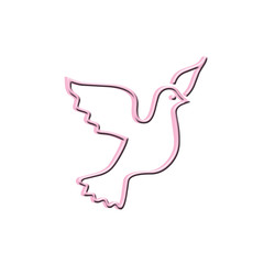 Flying dove on white background