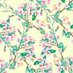 Spring pattern.Flowering branches. Watercolor. Vector.
