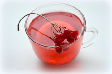 Чай в прозрачной чашке с красными ягодами калины