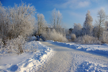 Obraz premium Winter landscape 