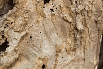 Wood is vulnerable to erosion.