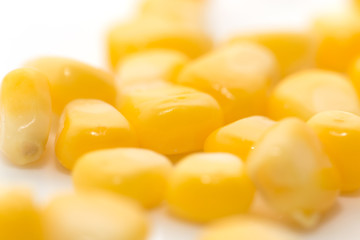 corn on a white background. close-up
