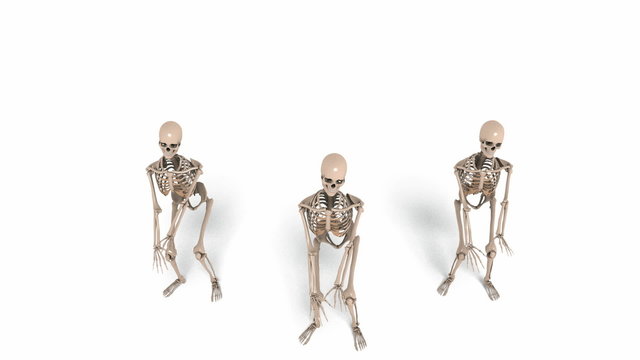 Digital Animation of cheerleading Skeletons