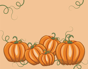 Fresh Pumpkins on white background. Vector