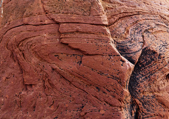 texture of red sandstone © annatronova