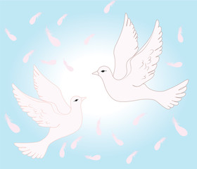 Two pigeons flying in sky of love. Vector