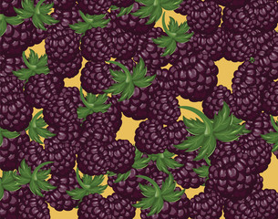 Blackberries delicious dessert. Vector
