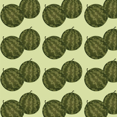 Watermelon whole raw pattern. Vector