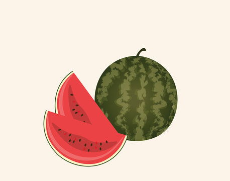 Watermelon isolated. Vector