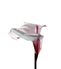 Illustration of abstract origami pink calla lily isolated on white background