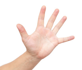 hand on a white background