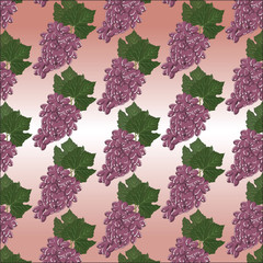 Grapes clusters pattern. Vector