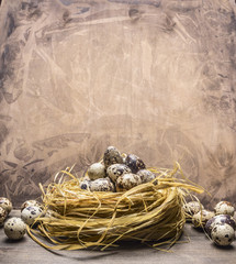 Quail eggs in the nest border ,place for text on wooden rustic background top view close up