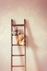 Two Little Teddy Bears