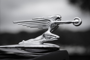classic packard hood ornament - Powered by Adobe
