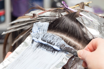 hair coloring in a beauty salon - obrazy, fototapety, plakaty