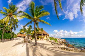 Photo sur Plexiglas Mexique De merveilleuses vacances reposantes sur la plage au Mexique tropical. Paysage marin avec des palmiers.