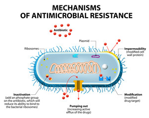Antimicrobial resistance