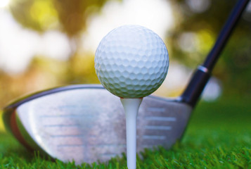 Golf club and ball in grass