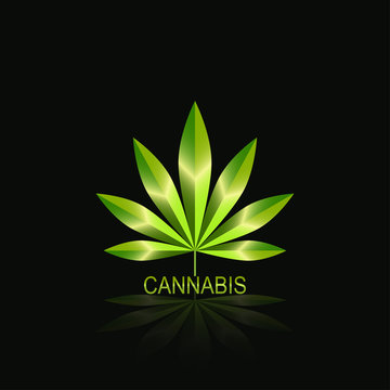 Cannabis leaf icon . Cannabis Marijuana Leaf. Authorized medical cannabis rubber stamp