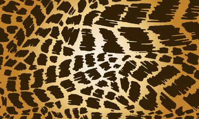 Colorful animal skin texture