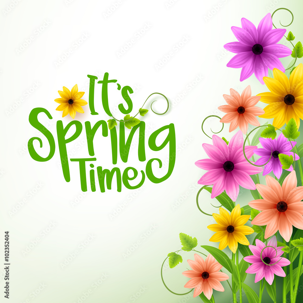 Poster vector spring time text in white background with realistic 3d colorful flowers and vines. vector ill