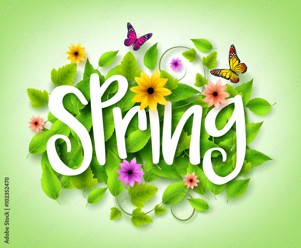Poster spring title text with vector green leaves in the background with colorful flowers and butterflies d