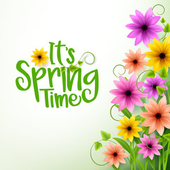 Vector Spring Time Text in White Background with Realistic 3D Colorful Flowers and Vines. Vector Illustration
