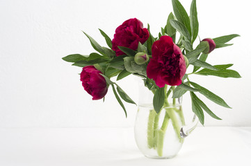 Bouquet with big red rain wet peonies from garden in glass jug, table indoor. White stonewall background, horizontal, close, space.