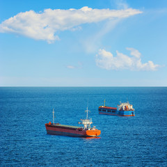 Fototapeta premium Cargo Ships in the Sea