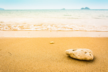Fototapeta na wymiar stone on the sand, selective focus . Focus area are the stone