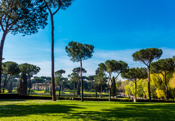 Borghese park in Rome, Italy.