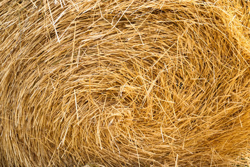 Straw bale