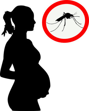zika virus, pregnancy 