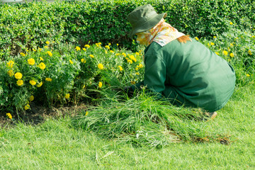 Gardener