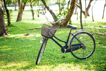 Obraz na płótnie Canvas bicycle in the garden