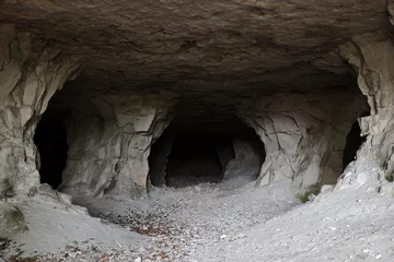 Foto op Canvas stone cave inside. view near the entrance © Ivan Kurmyshov