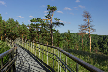 Fototapeta na wymiar steel pathway with handrails on the forest mountain