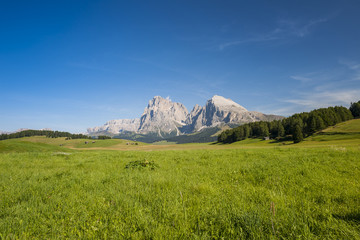 Alpe Di Siusi (Seiser Alm), Dolomites , Italy