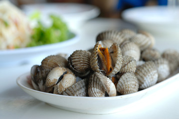 Blanched cockles on white dish