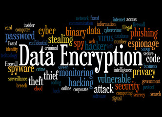 Data Encryption, word cloud concept 9