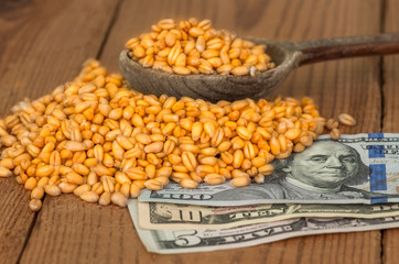 Wheat grains on dollar bills