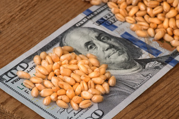 Wheat grains on dollar bills