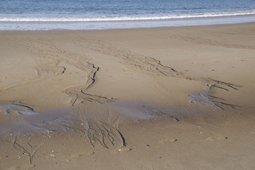 natures sand sculpture