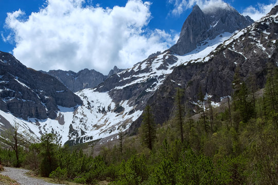 Spring mountain scenery with green forest and snow covered mountains