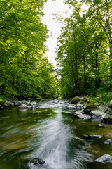 Obraz premium Wunderschöner wilder Gebirgsbach