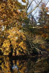 Herbststimmung an der Burg Linn