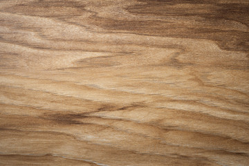 Obraz premium Texture. Wooden texture - wood grain