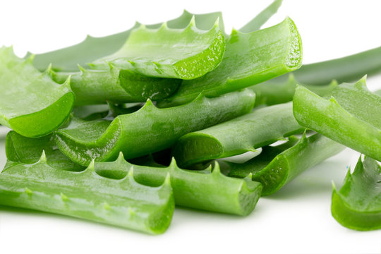 Aloe Slices Isolated On The White Background