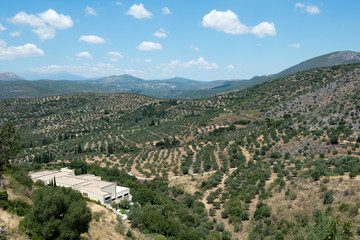 Fototapeta na wymiar Rural view from the ancient Greek city Mycenae, Greece